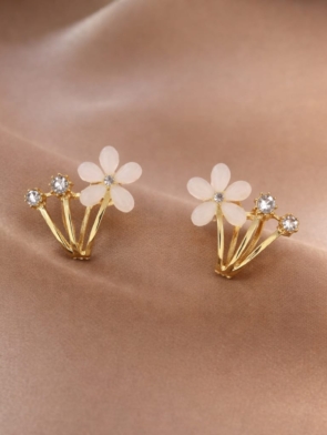 WhatsApp Image 2026-03-19 at 17.13.31 (1) - Copy